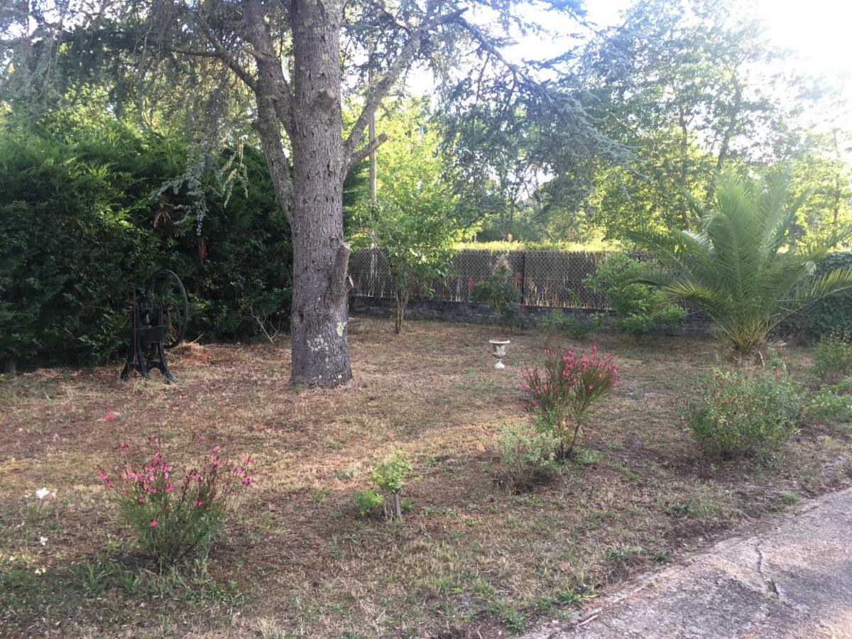 Cool Landes Villa Sainte-Eulalie-en-Born ภายนอก รูปภาพ